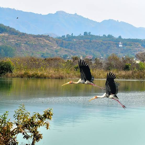 Mukerian Wetlands