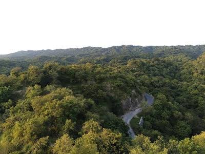 Dasuya Forest Division